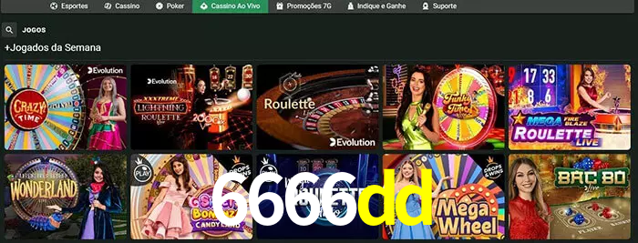 6666dd bet