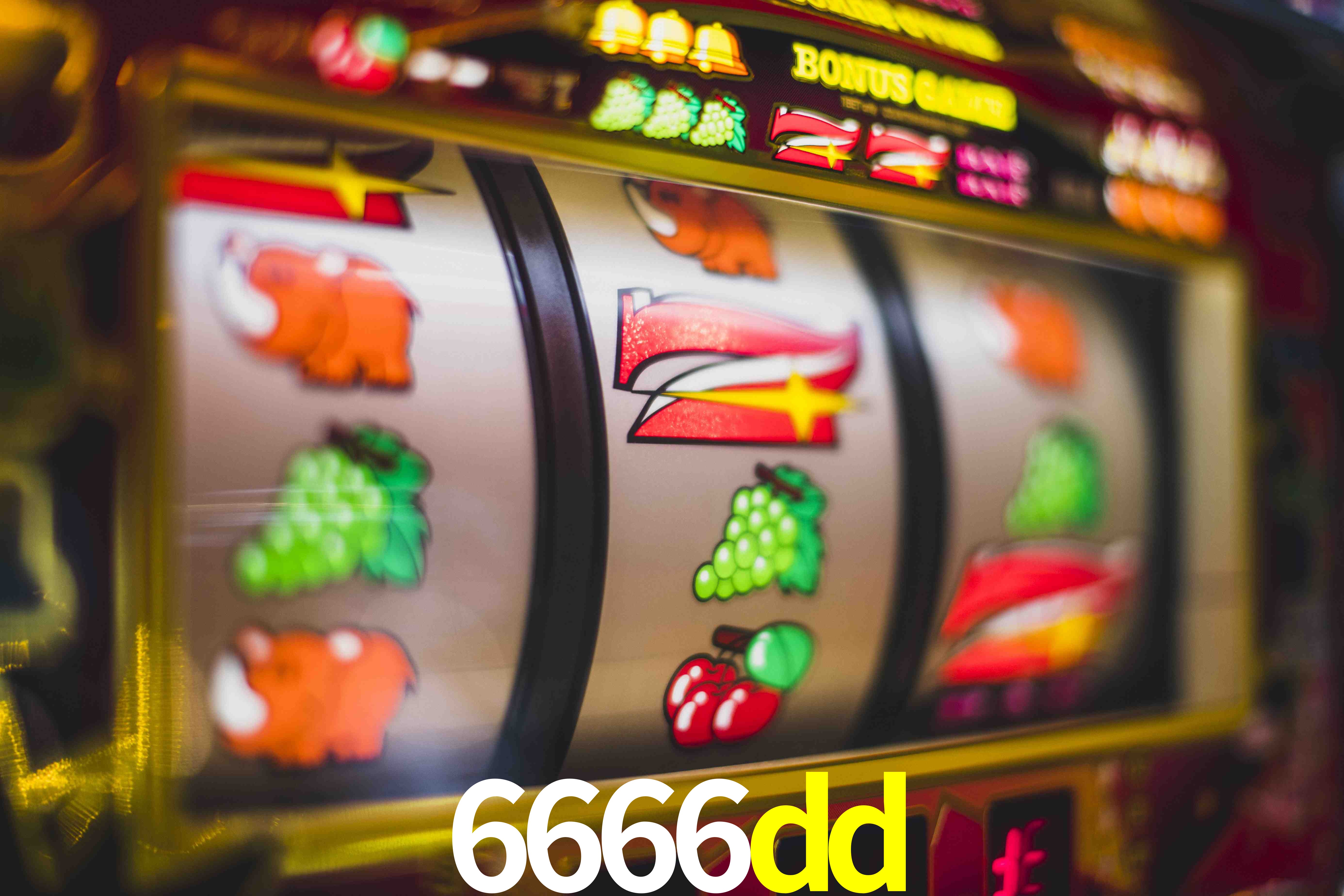 Live Casino 6666dd